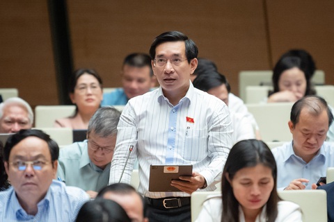 Đề xuất tham khảo đấu giá biển số xe ô tô để có thể thu tiền tỉ từ sim số đẹp - Ảnh 1. Đại biểu Nguyễn Văn Cảnh - Ảnh: GIA HÂN
