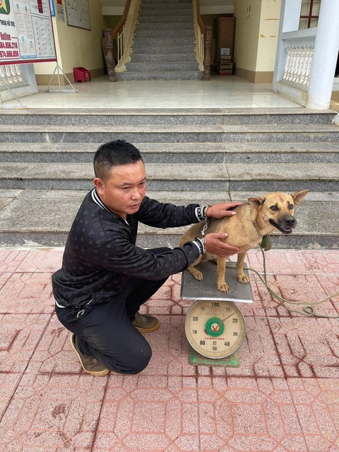 Ảnh vui 26-10: Bị cáo và bị hại - Ảnh 1. Bị hại nói: "Chú ơi, chú bắt nó giùm con!".