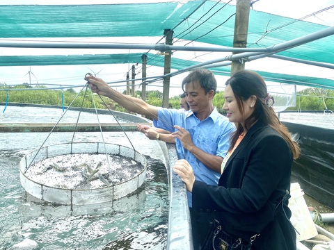 Tuy là màu nghịch nhưng giá tôm nguyên liệu tăng không đáng kể. Ảnh: KHẮC TÂM Tuy là mùa nghịch nhưng giá tôm nguyên liệu tăng không đáng kể - Ảnh: KHẮC TÂM