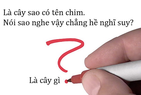 Câu đố hack não: Cái gì càng nặn càng nhẹ? - Ảnh 7. Câu đố hack não: Cái gì càng nặn càng nhẹ? - Ảnh 7.