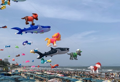 Diều bay ở biển Bãi Sau, Vũng Tàu - Ảnh: Đ.H Diều bay ở biển Bãi Sau, Vũng Tàu - Ảnh: Đ.H.