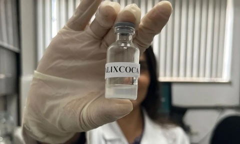 Các nhà khoa học Brazil thử nghiệm vaccine điều trị nghiện cocaine - Ảnh 1. Ảnh: cnnbrasil.com.br