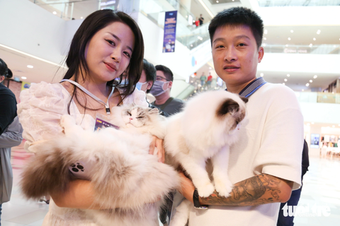 Hơn 70 giống mèo quý tộc đua nhau khoe sắc, có con trị giá 10.000 USD - Ảnh 4. Cuộc thi quy tụ các giống mèo trong và ngoài nước. Trong ảnh: hai du khách Trung Quốc mang theo hai giống mèo độc đáo đến Việt Nam để tranh tài