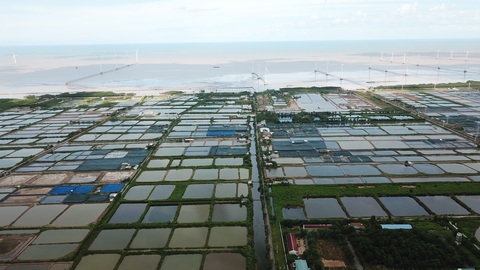 Quy hoạch Bạc Liêu đến năm 2030 thành tỉnh mạnh về kinh tế biển - Ảnh 1. Tỉnh Bạc Liêu quy hoạch đến năm 2030 và đến năm 2050 đều sẽ trở thành tỉnh mạnh về kinh tế biển - Ảnh: CHÍ QUỐC