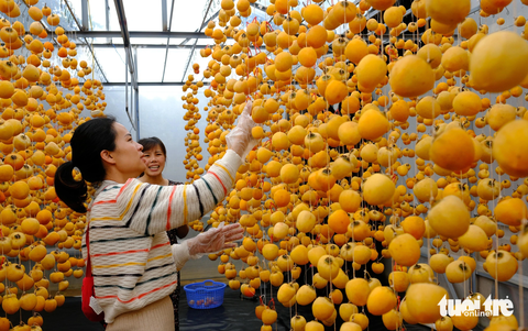 Du khách tham quan, tìm hiểu quy trình sản xuất hồng treo gió dọc tuyến đường nối trung tâm Đà Lạt với vùng Cầu Đất (xã Xuân Trường) - Ảnh: MINH AN Du khách tham quan, tìm hiểu quy trình sản xuất hồng treo gió dọc tuyến đường nối trung tâm Đà Lạt với vùng Cầu Đất (xã Xuân Trường) - Ảnh: MINH AN