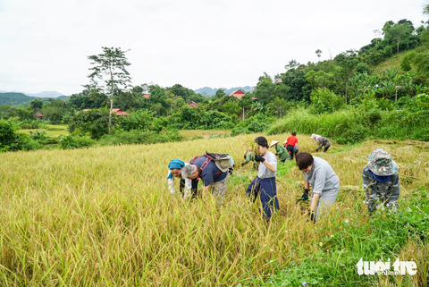 Hoạt động thường ngày của bản con dân bản lại trở thành trải nghiệm thú vị của du khách phương xa - Ảnh: NGUYỄN HIỀN Hoạt động thường ngày của bà con dân bản lại trở thành trải nghiệm thú vị của du khách phương xa - Ảnh: NGUYỄN HIỀN