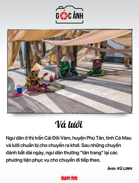 Tin tức sáng 4-10: - Ảnh 5. Tin tức sáng 4-10: - Ảnh 5.