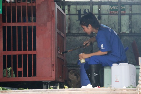 Hai chú gấu ngựa đầu tiên được về ‘nhà mới’ trên núi Bạch Mã - Ảnh 8. Trước khi đưa gấu từ xe tải xuống nơi cách ly, các nhân viên của trung tâm sẽ cho gấu uống sữa đặc pha với mật ong - món ăn khoái khẩu của gấu ngựa - Ảnh: NHẬT LINH
