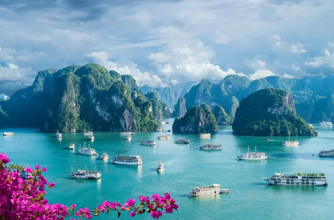 Vịnh Hạ Long vào được đề cử là điểm du lịch đáng đến trong năm 2024 - Ảnh 1. Vịnh Hạ Long - quần đảo Cát Bà chính thức được UNESCO ghi danh là di sản thiên nhiên thế giới ngày 16-9 - Ảnh: GETTY IMAGES