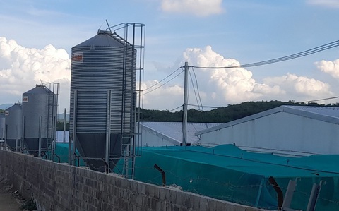 Trang trại nuôi heo thải mùi hôi thối, người dân bức xúc, chính quyền vào cuộc - Ảnh 2. Trang trại nuôi heo ở huyện Lang Chánh (Thanh Hóa) đã và đang gây ô nhiễm môi trường nghiêm trọng - Ảnh: HÀ ĐỒNG