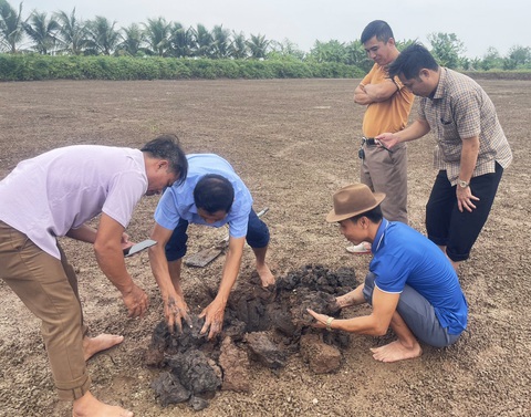 Kiếm tiền tỉ từ ương nuôi rươi giống - Ảnh 3. Người nuôi rươi ở huyện Vĩnh Bảo, TP Hải Phòng kiểm tra quá trình phát triển của rươi trước vụ thu hoạch năm 2023 - Ảnh: TIẾN THẮNG