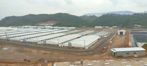 Trang trại nuôi heo thải mùi hôi thối, người dân bức xúc, chính quyền vào cuộc - Ảnh 1. Toàn cảnh trang trại nuôi heo ở huyện Lang Chánh (Thanh Hóa) - Ảnh: HÀ ĐỒNG