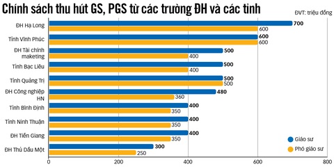 Trường đại học "khát" giáo sư, phó giáo sư - Ảnh 3. Đồ họa: N.KH.