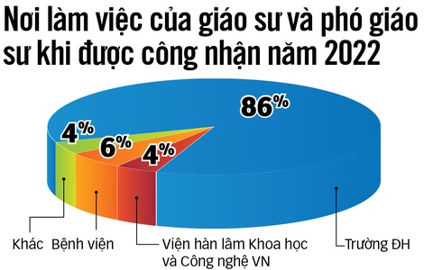 Trường đại học "khát" giáo sư, phó giáo sư - Ảnh 2. Đồ họa: N.KH.