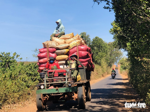 Chủ tịch và tổng giám đốc của công ty phân bón lớn bậc nhất sàn chứng khoán đồng loạt thôi việc - Ảnh 1. Giá phân bón tác động lớn đến ngành nông nghiệp - Ảnh: BÔNG MAI