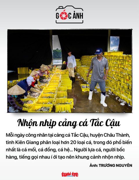 TIN TỨC SÁNG 31-10 - Ảnh 9. TIN TỨC SÁNG 31-10 - Ảnh 9.