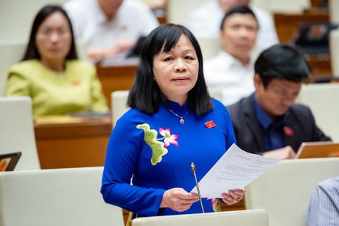 Đại biểu tranh luận việc Bộ Giáo dục và Đào tạo có nên làm một bộ sách giáo khoa - Ảnh 3. Đại biểu Nguyễn Thị Mai Hoa - Ảnh: GIA HÂN