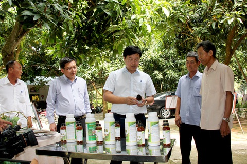 Ngày hội Hội quán đất sen hồng mở ra cơ hội cho 7.500 hội viên - Ảnh 2. Ông Lê Quốc Phong (giữa) - bí thư Tỉnh ủy Đồng Tháp - thăm nông dân Tâm Quê Hội quán (xã Tân Thuận Tây, TP Cao Lãnh) sản xuất chế phẩm thảo mộc để phòng ngừa sâu, bệnh, sinh vật gây hại trên cây trồng - Ảnh: TỐNG DOANH