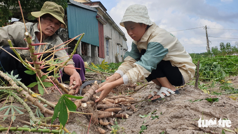 &quot;Ngày có kết quả thi, cháu cũng tính không đi học nữa vì thấy cậu quá cực khổ. Nhưng tui nghĩ cháu đã quá thiệt thòi khi mất cha mẹ quá sớm rồi. Tui gắng được ngày nào thì sẽ gắng hết sức cho cháu đi học ngày đó…&quot;, ông Hùng nói - Ảnh: QUỐC NAM