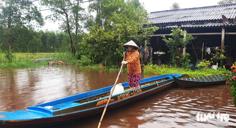 Một cơn mưa lớn kéo dài, miền Tây ngập khắp nơi - Ảnh 2. Mưa lớn kèm triều cường nên nhiều nhà cửa, ruộng vườn của người dân Cà Mau chìm trong nước - Ảnh: THANH HUYỀN