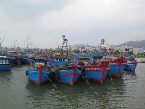 Chủ tàu cá bị phạt hơn 850 triệu đồng vì không mua bảo hiểm cho thuyền viên và nhiều lỗi khác - Ảnh 1. Nơi neo đậu tàu thuyền của ngư dân xã Nghĩa An, địa phương có nhiều tàu lớn. Đây là lần đầu tiên chủ tàu cá ở Quảng Ngãi vi phạm các lỗi trên bị xử phạt hơn 850 triệu đồng - Ảnh: TRẦN MAI