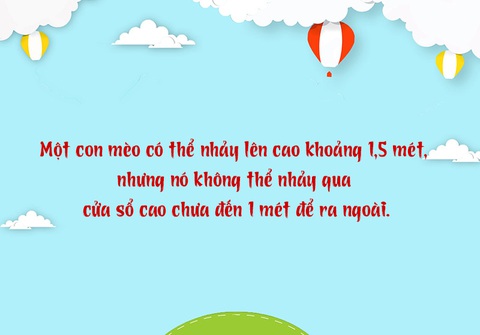 Câu đố hack não: Cá gì nghe tên đã thấy vui? - Ảnh 10. Câu đố hack não: Cá gì nghe tên đã thấy vui? - Ảnh 10.