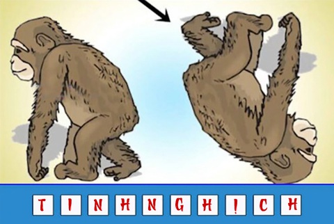 Đuổi hình bắt chữ: Đây là từ khóa nào? (P6) - Ảnh 1.