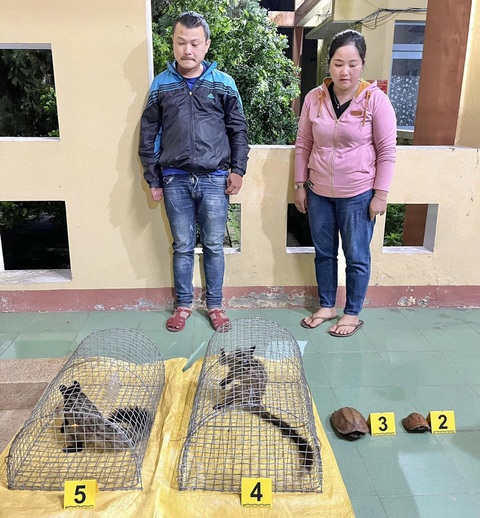 Tạm giữ 2 người mua bán trái phép 4 cá thể rùa, chồn hương quý hiếm - Ảnh 3. Hoài và Chiến bị bắt quả tang mua bán động vật hoang dã quý hiếm - Ảnh: Công an huyện Tây Giang