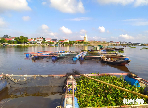 Cá nuôi lồng bè của hàng chục hộ dân bất ngờ chết hàng loạt - Ảnh 3. Khu vực nuôi cá trên sông của người dân thôn Sông Hải - Ảnh: LÊ MINH