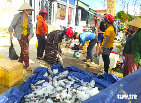 Cá nuôi lồng bè của hàng chục hộ dân bất ngờ chết hàng loạt - Ảnh 6. Nhiều người biết được tin cá nuôi lồng bè của người dân thôn Sông Hải bị chết nên đến chung tay mua hỗ trợ các hộ nuôi - Ảnh: LÊ MINH