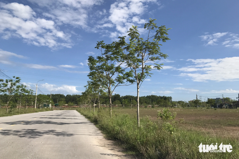 Đất ế, chia nhỏ lô và hạ giá sàn để bán - Ảnh 3. Các lô đất ở vị trí đẹp nhưng không đấu giá thành công do giá bán cao - Ảnh: HOÀNG TÁO