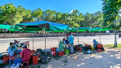 Chợ ‘lộc trời' bên hông di tích đàn tế triều Nguyễn - Ảnh 1. Một góc khu chợ bán "lộc trời" - nấm tràm cạnh đàn Nam Giao (TP Huế) - Ảnh: NHẬT LINH