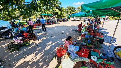 Chợ ‘lộc trời' bên hông di tích đàn tế triều Nguyễn - Ảnh 8. Năm nay khu chợ bán "lộc trời" được UBND phường Trường An (TP Huế) quy hoạch tại một bãi đất cạnh đàn Nam Giao. Từ khi có sự quản lý của chính quyền, khu chợ nấm này không còn cảnh nhếch nhác, lộn xộn như những năm trước - Ảnh: NHẬT LINH