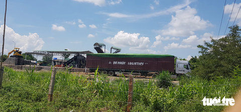Một xe container "ăn hàng" dăm gỗ tại khu đất mà Công ty TNHH Tân Thành Phát đang xin đầu tư ở cụm công nghiệp Ba Bản - Ảnh: DUY THANH Một xe container "ăn hàng" dăm gỗ tại khu đất mà Công ty TNHH Tân Thành Phát đang xin đầu tư ở Cụm công nghiệp Ba Bản - Ảnh: D.TH.