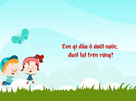 Câu đố hack não: Con gì đầu ở dưới nước, đuôi lại trên rừng? - Ảnh 1. Câu đố hack não: Con gì đầu ở dưới nước, đuôi lại trên rừng? - Ảnh 1.