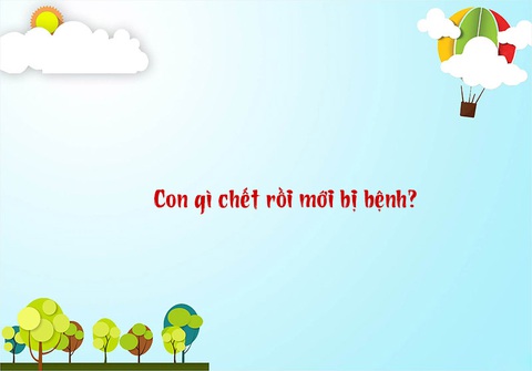 Câu đố hack não: Con gì chết rồi mới bị bệnh? - Ảnh 1. Câu đố hack não: Con gì chết rồi mới bị bệnh? - Ảnh 1.