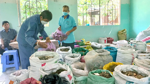 20 năm đi tìm thuốc nam miễn phí cho người nghèo - Ảnh 1. Hàng chục bao thuốc nam sẵn sàng phục vụ bà con với giá “0 đồng” khi đến tổ thuốc nam từ thiện - Ảnh: LAN NGỌC