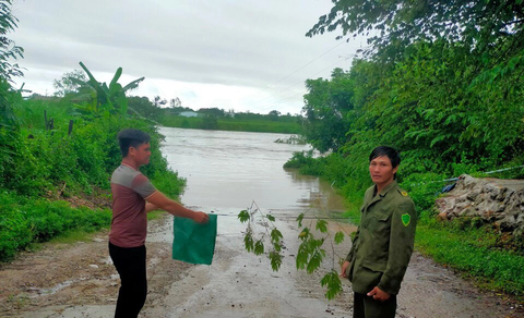 Gia Lai: Mưa lớn chia cắt hàng ngàn người dân, hàng trăm học sinh tạm nghỉ học - Ảnh 3. Lực lượng chức năng xã Chư Răng tại điểm ngầm tràn thôn Plei Du - Ảnh: L.N.