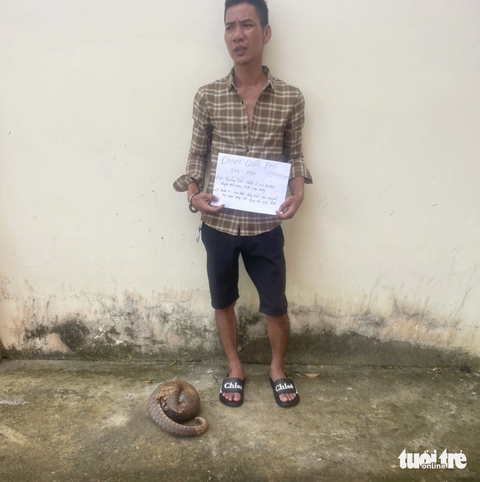 Bắt người vận chuyển tê tê sắp tuyệt chủng - Ảnh 1. Đinh Quốc Phi cùng con tê tê Java sắp tuyệt chủng - Ảnh: K.P