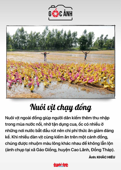 Tin tức sáng 1-11: Để y tế miền Tây thiếu máu kéo dài, sẽ kỷ luật cán bộ thiếu trách nhiệm - Ảnh 5. Tin tức sáng 1-11: Để y tế miền Tây thiếu máu kéo dài, sẽ kỷ luật cán bộ thiếu trách nhiệm - Ảnh 5.