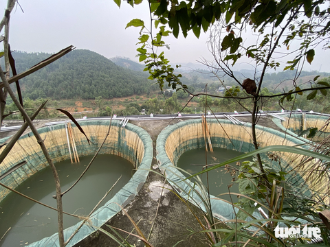 Đất hiếm ở Lào Cai, Yên Bái được phê duyệt khu vực dự trữ khoáng sản quốc gia - Ảnh 1. Bên trong một góc mỏ đất hiếm tại huyện Bảo Thắng (Lào Cai) sau khi kết thúc quá trình thăm dò (thời điểm tháng 4-2023) - Ảnh: QUANG THẾ