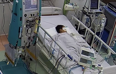 Cứu bé 6 tuổi nhiễm xoắn khuẩn Leptospira tổn thương đa cơ quan - Ảnh 1. Bé 6 tuổi bị tổn thương đa cơ quan do nhiễm xoắn khuẩn Leptospira, bệnh nhi phải thở máy thay huyết tương - Ảnh: BSCC