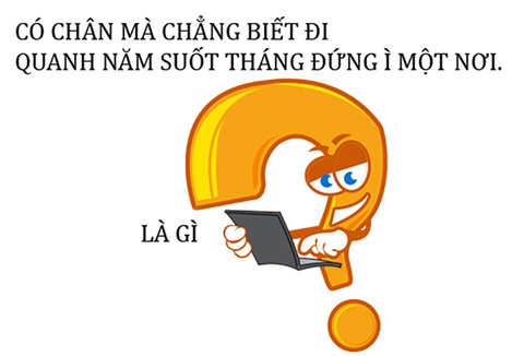 Câu đố hack não: Cái gì muốn dài thì cắt ngắn? - Ảnh 4. Câu đố hack não: Cái gì muốn dài thì cắt ngắn? - Ảnh 4.