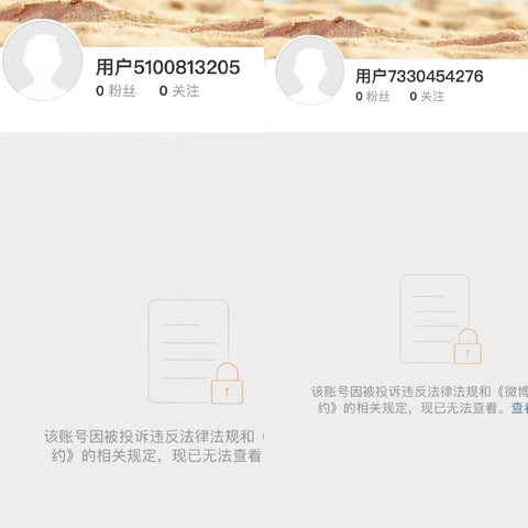 Mạng xã hội Trung xóa tài khoản của Lisa, Angelababy bị cấm ngôn - Ảnh 2. Tài khoản cá nhân và fanpage có người theo dõi khủng của Lisa không còn được hiển thị - Ảnh chụp màn hình