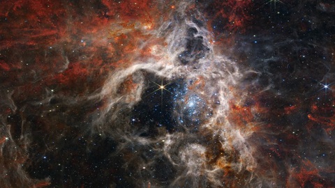 Tinh vân Tarantula - Ảnh: NASA Tinh vân Tarantula - Ảnh: NASA