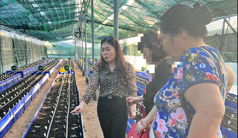 Tập đoàn Mỹ Hạnh huy động được cả ngàn tỉ nhưng đưa vào kinh doanh chỉ khoảng 1% - Ảnh 1. Bà Phạm Mỹ Hạnh - chủ tịch hội đồng quản trị Công ty cổ phần Tập đoàn Mỹ Hạnh - từng giới thiệu về "dự án trồng sâm Ngọc Linh" - Ảnh: Người dân cung cấp
