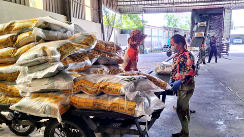 Giá gạo Việt cao nhất thế giới không phải ăn may - Ảnh 1. Việt Nam nên tận dụng cơ hội giá gạo cao để xuất khẩu. Trong ảnh: Tập đoàn Tân Long đóng gạo đưa lên xe tải đi xuất khẩu - Ảnh: VĨNH SƠN