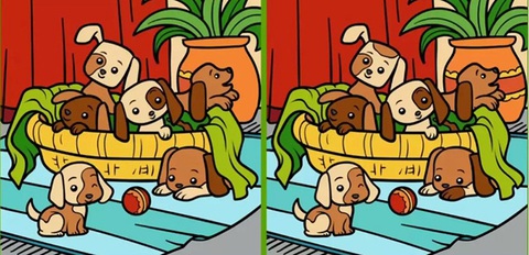 Mắt 10/10 mới thấy khuôn mặt ẩn giấu ở đâu - Ảnh 3. Mắt 10/10 mới thấy khuôn mặt ẩn giấu ở đâu - Ảnh 3.