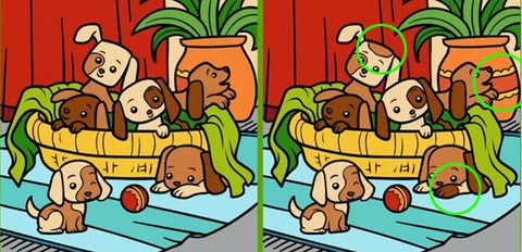 Mắt 10/10 mới thấy khuôn mặt ẩn giấu ở đâu - Ảnh 1.