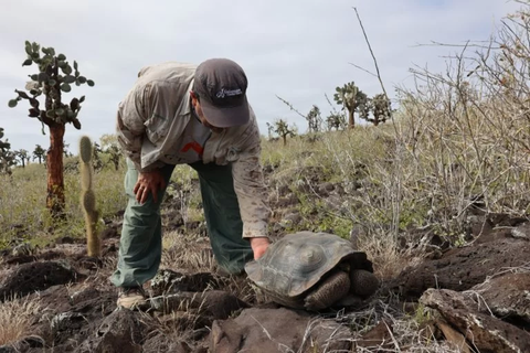 Thế giới sẽ mất loài rùa khổng lồ Galapagos vì con người xả rác? - Ảnh 4. Ảnh: WhatsApp